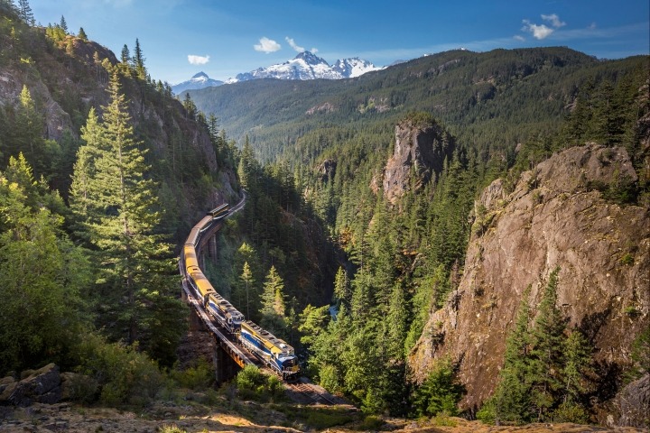 Train passing through Cheakamus.